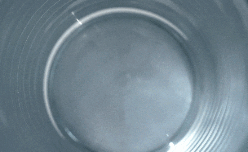 48e4dc8e499f4a8442918ca3dbcf9024_1779778253_8855.gif